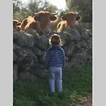 Vuelos De Montana L 木屋