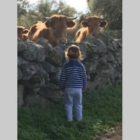 Vuelos De Montana L Alpstuga