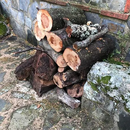 Vuelos De Montana L *