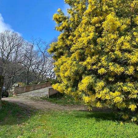 Vuelos De Montana L Alpstuga