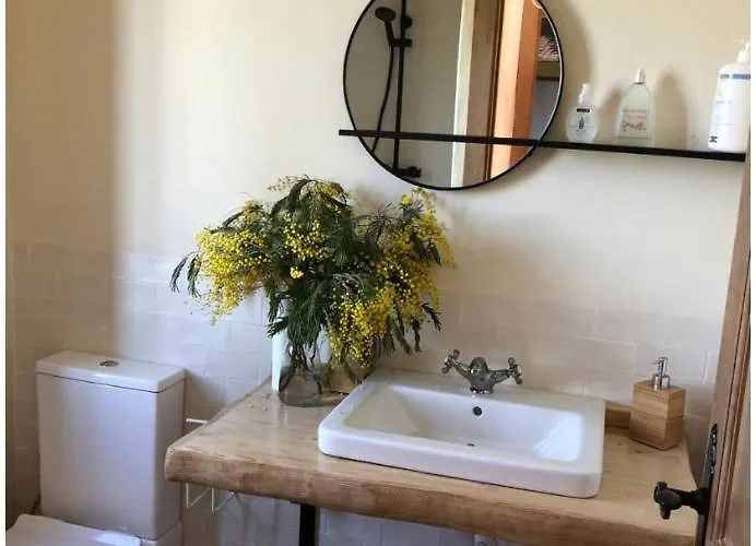 Vuelos De Montana L *