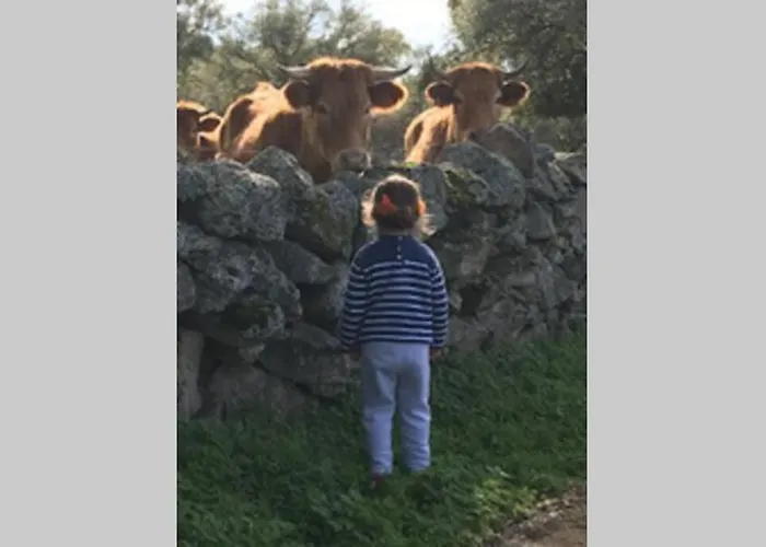 Vuelos De Montana L Chalet