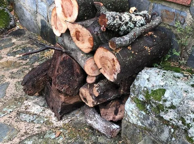 Vuelos De Montana L *