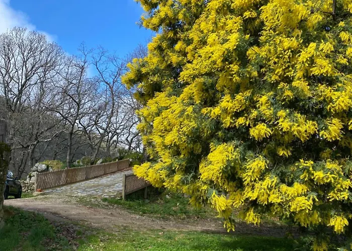 Vuelos De Montana L Chalet